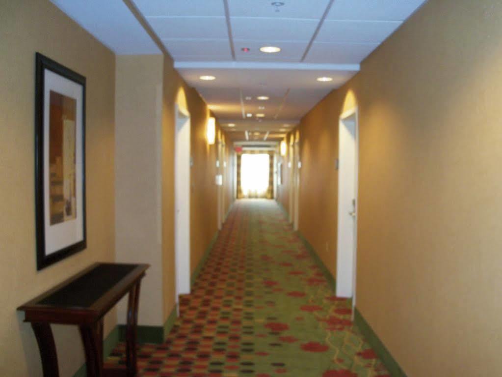 Hampton 3*